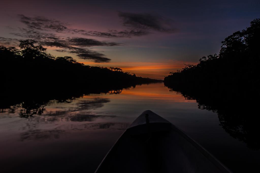Hotel El Icaco Tortuguero Eksteriør bilde